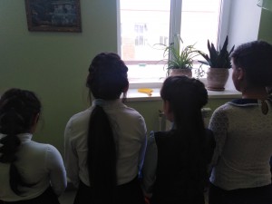 IMG_20191115_102023