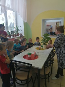 IMG-6fd56cdaacd71c77ea00bfdfe6e8de13-V