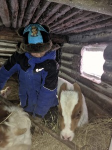 IMG-20210127-WA0016