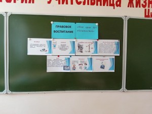 IMG-20210429-WA0013